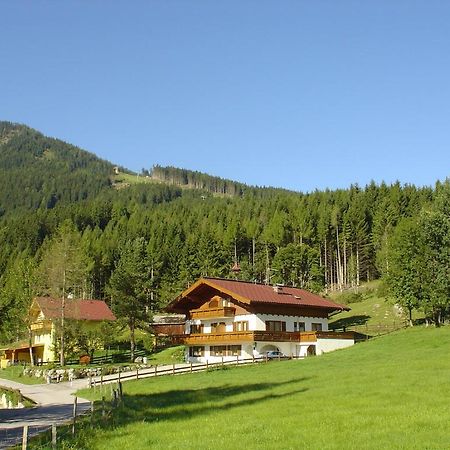 Landhaus Dickhardt Apartment Schladming Exterior foto
